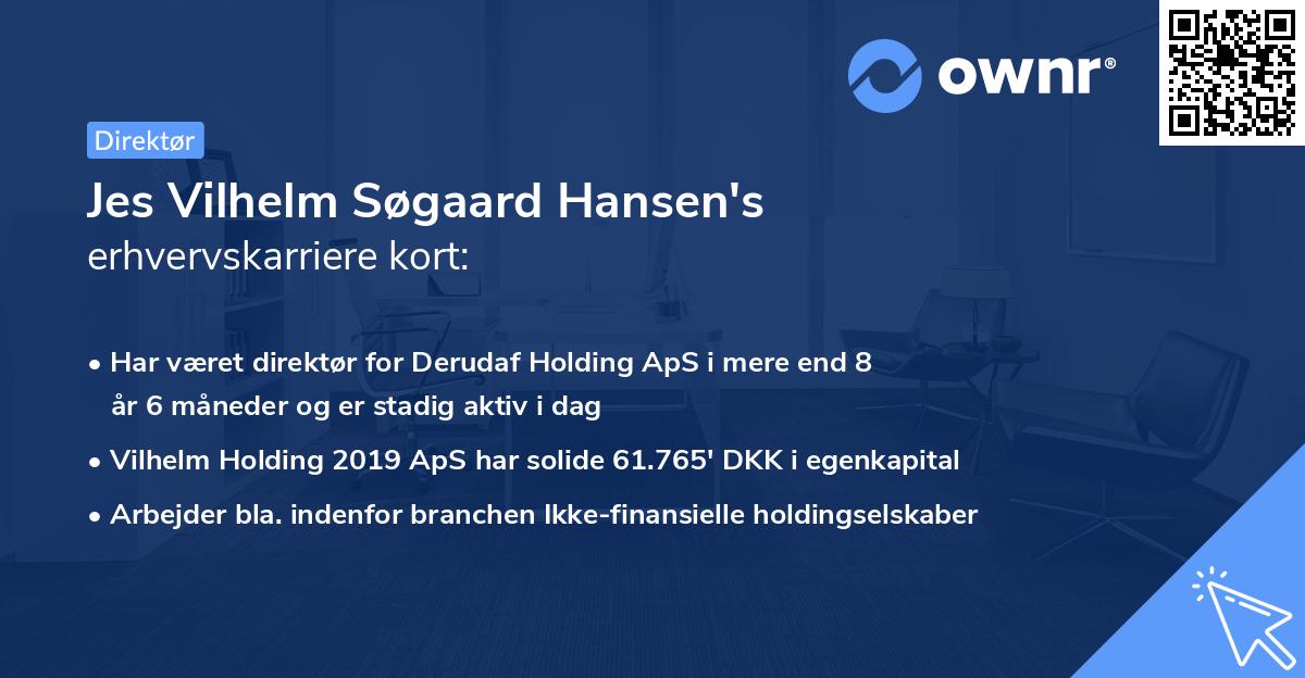 Jes Vilhelm Søgaard Hansen's erhvervskarriere kort