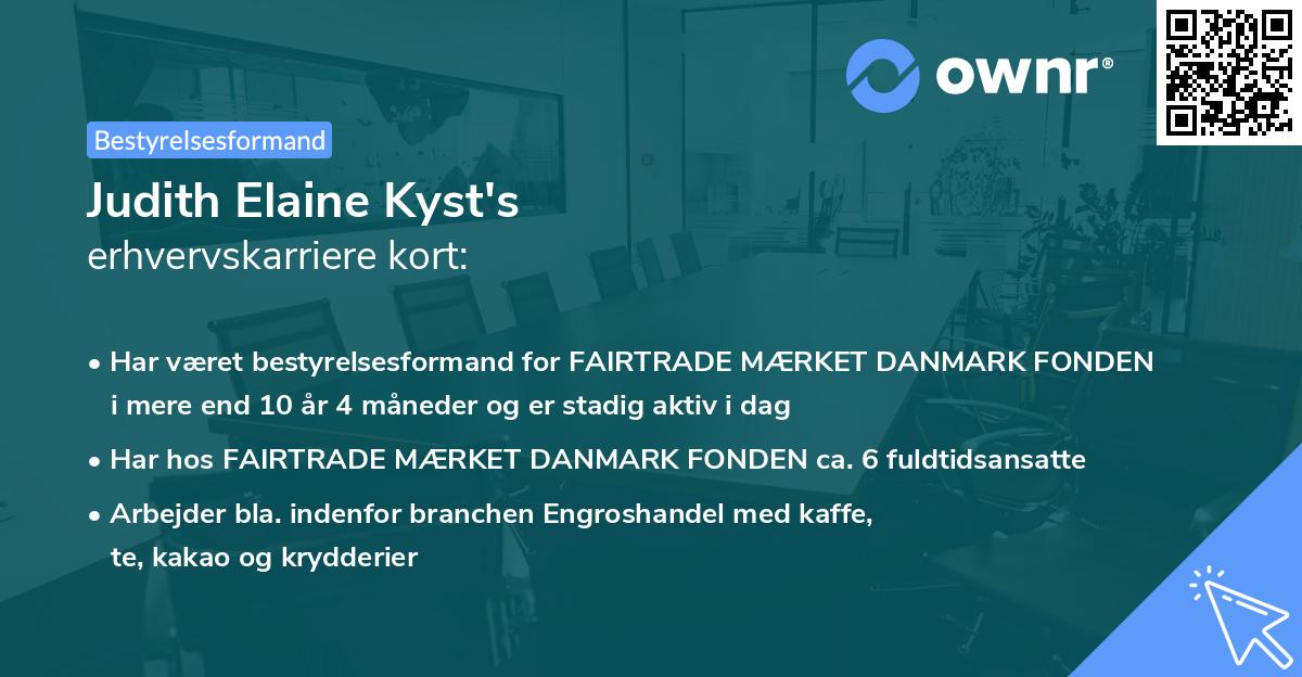 Judith Elaine Kyst's erhvervskarriere kort