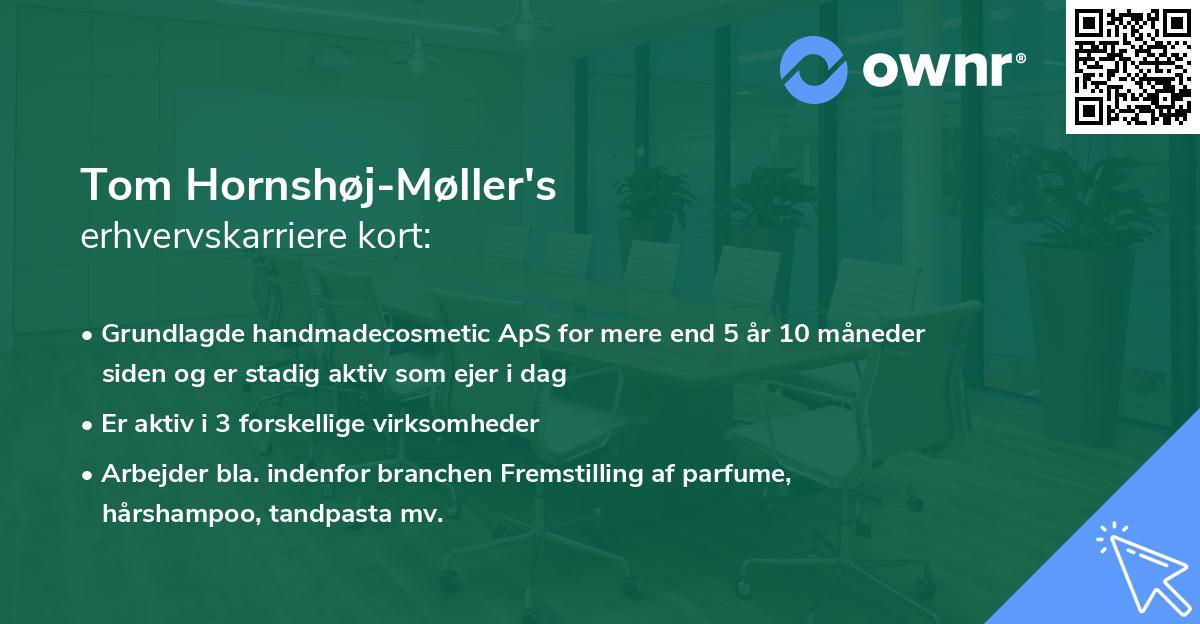 Tom Hornshøj-Møller's erhvervskarriere kort