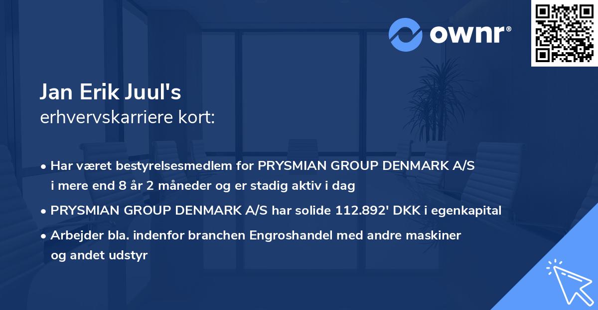 Jan Erik Juul's erhvervskarriere kort