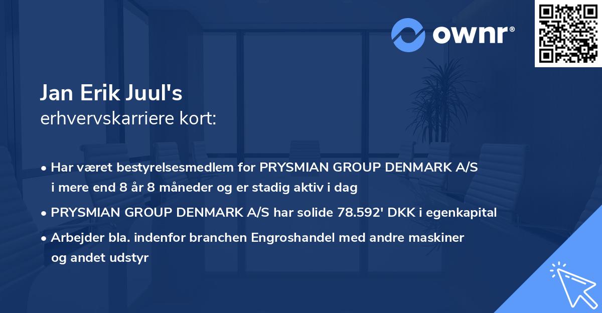 Jan Erik Juul's erhvervskarriere kort