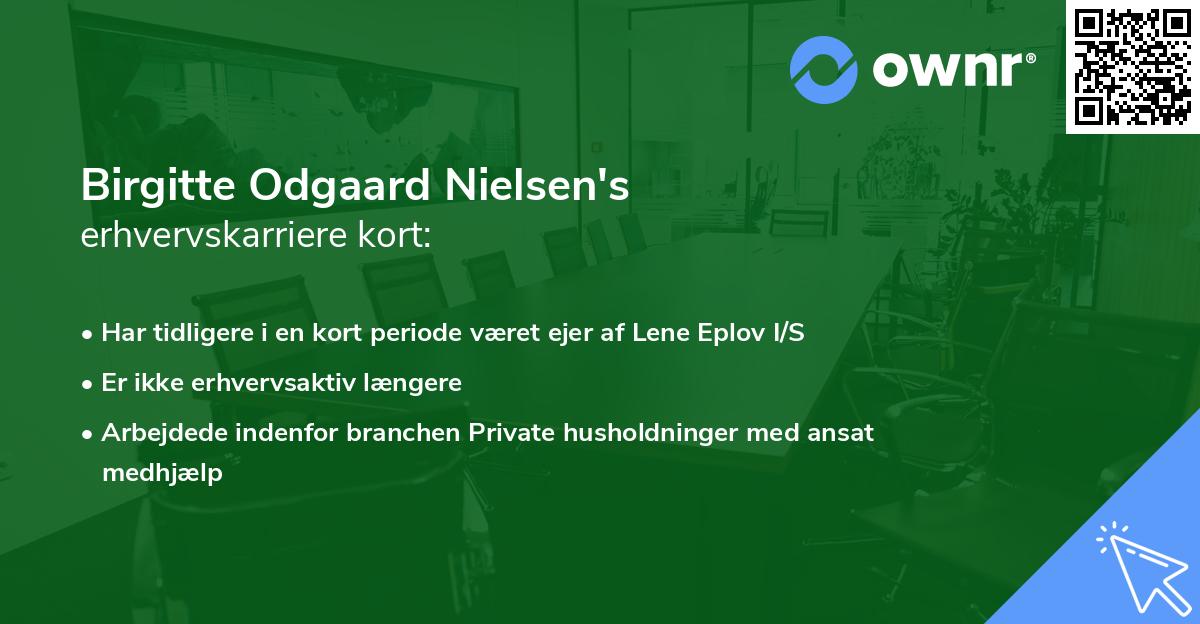 Birgitte Odgaard Nielsen's erhvervskarriere kort