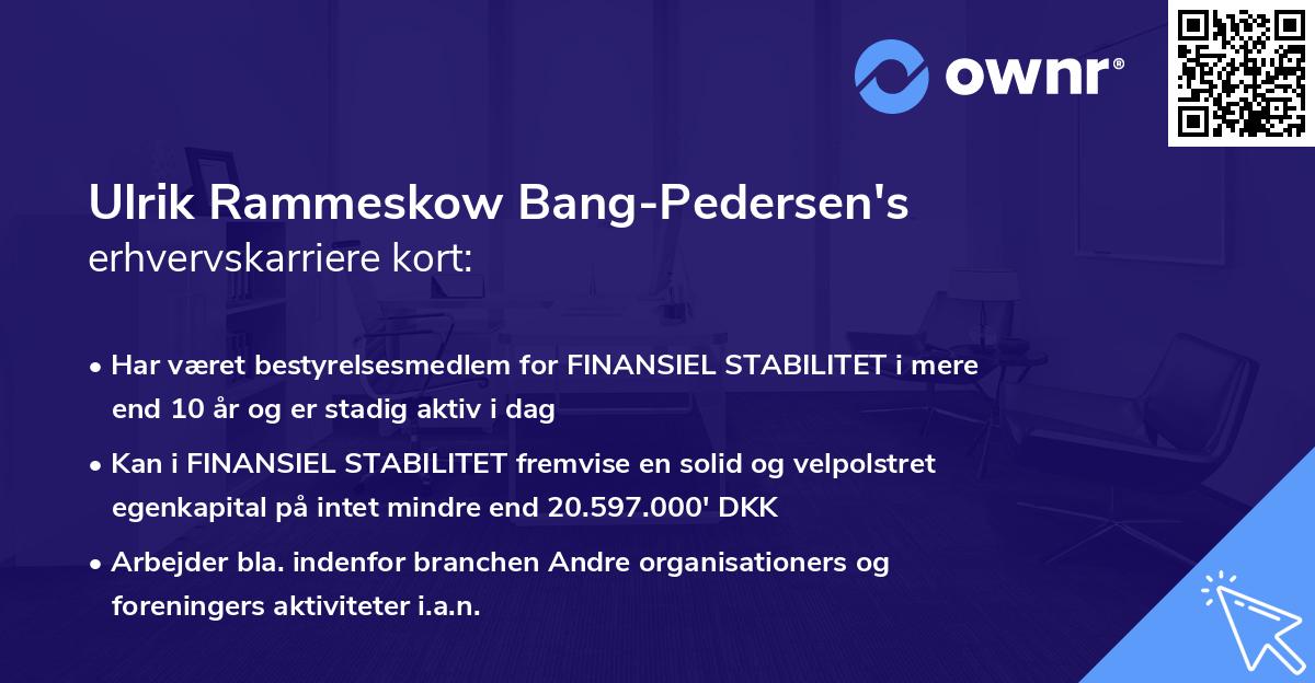 Ulrik Rammeskow Bang-Pedersen's erhvervskarriere kort