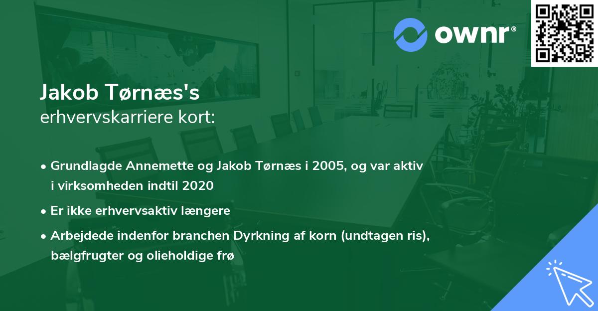 Jakob Tørnæs's erhvervskarriere kort