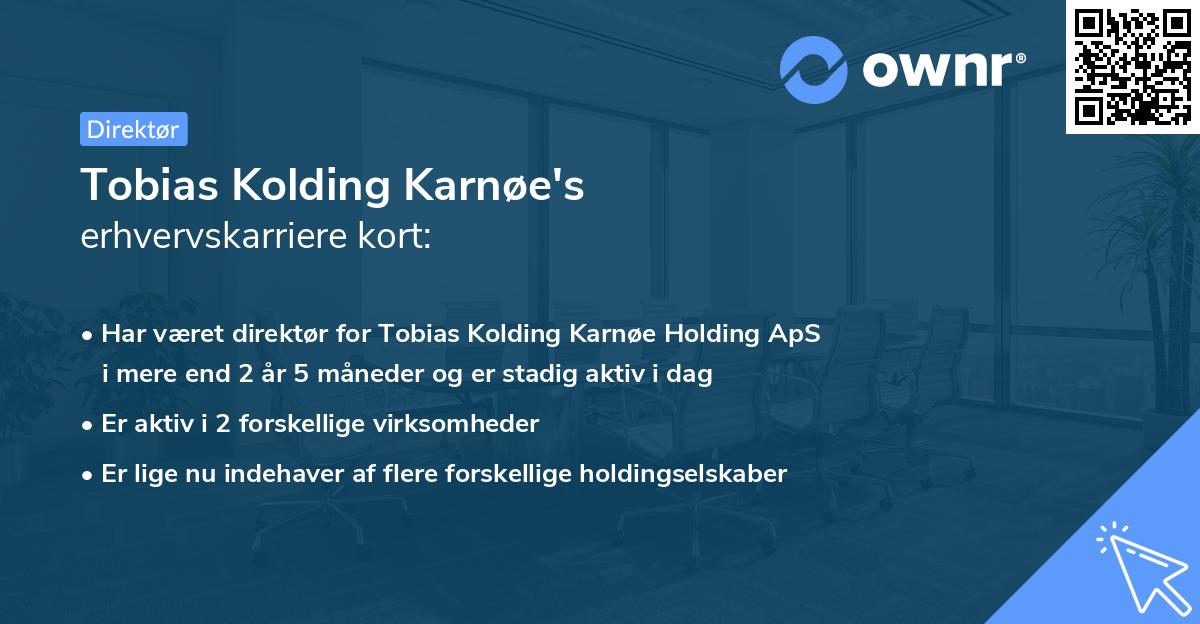 Tobias Kolding Karnøe's erhvervskarriere kort