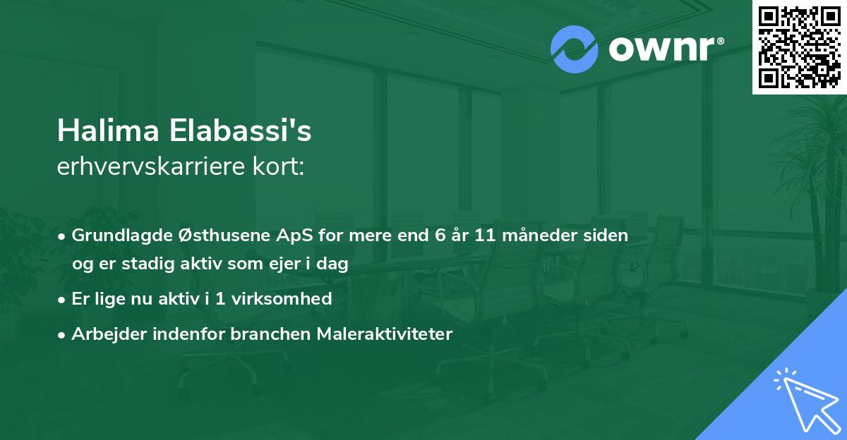 Halima Elabassi's erhvervskarriere kort