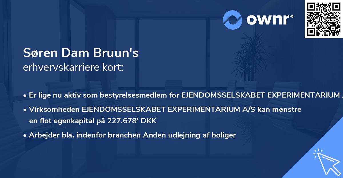 Søren Dam Bruun's erhvervskarriere kort
