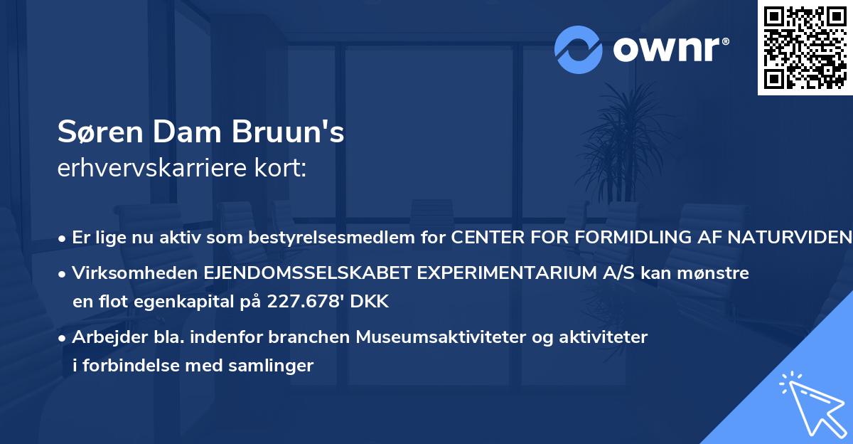 Søren Dam Bruun's erhvervskarriere kort