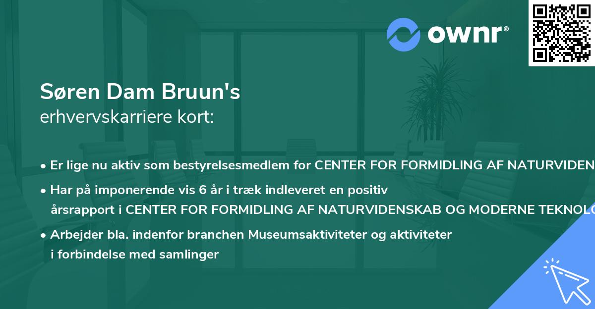 Søren Dam Bruun's erhvervskarriere kort
