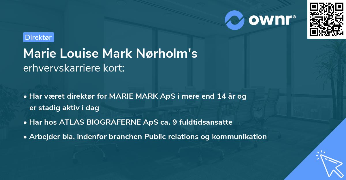 Marie Louise Mark Nørholm's erhvervskarriere kort