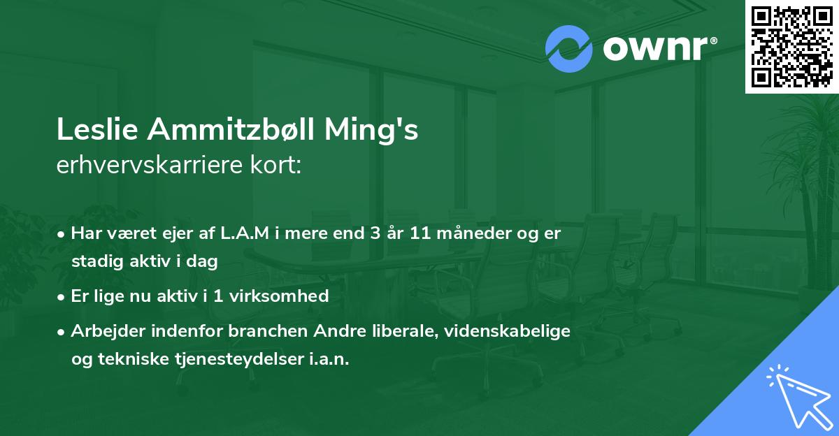 Leslie Ammitzbøll Ming's erhvervskarriere kort