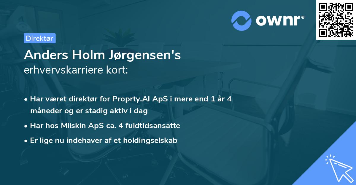 Anders Holm Jørgensen's erhvervskarriere kort