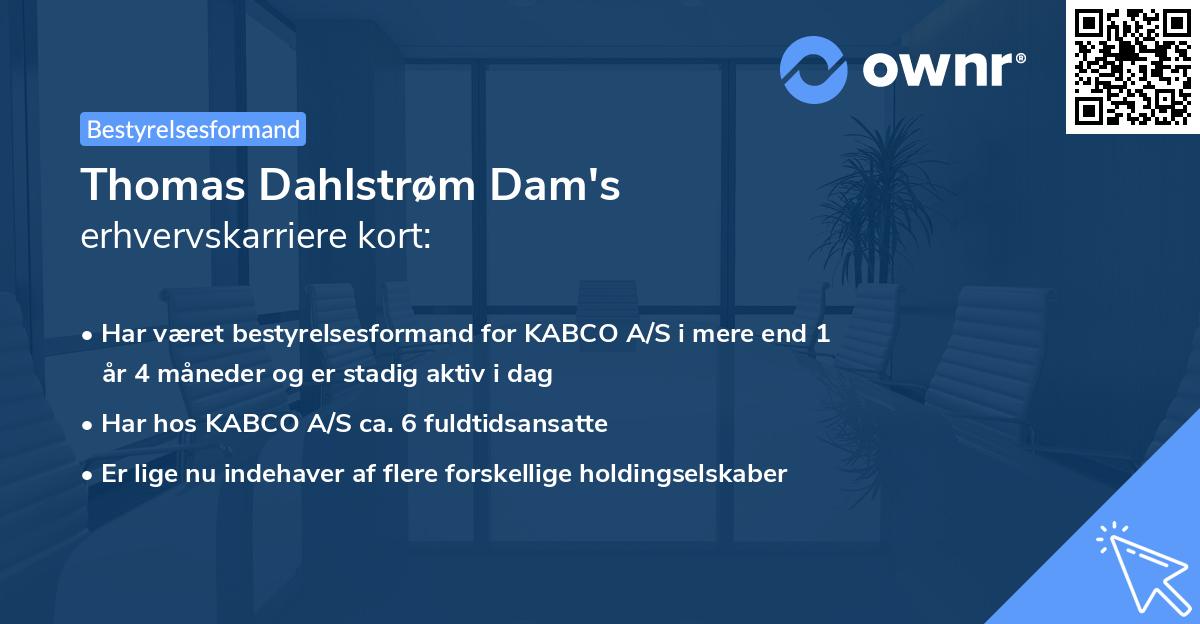 Thomas Dahlstrøm Dam's erhvervskarriere kort