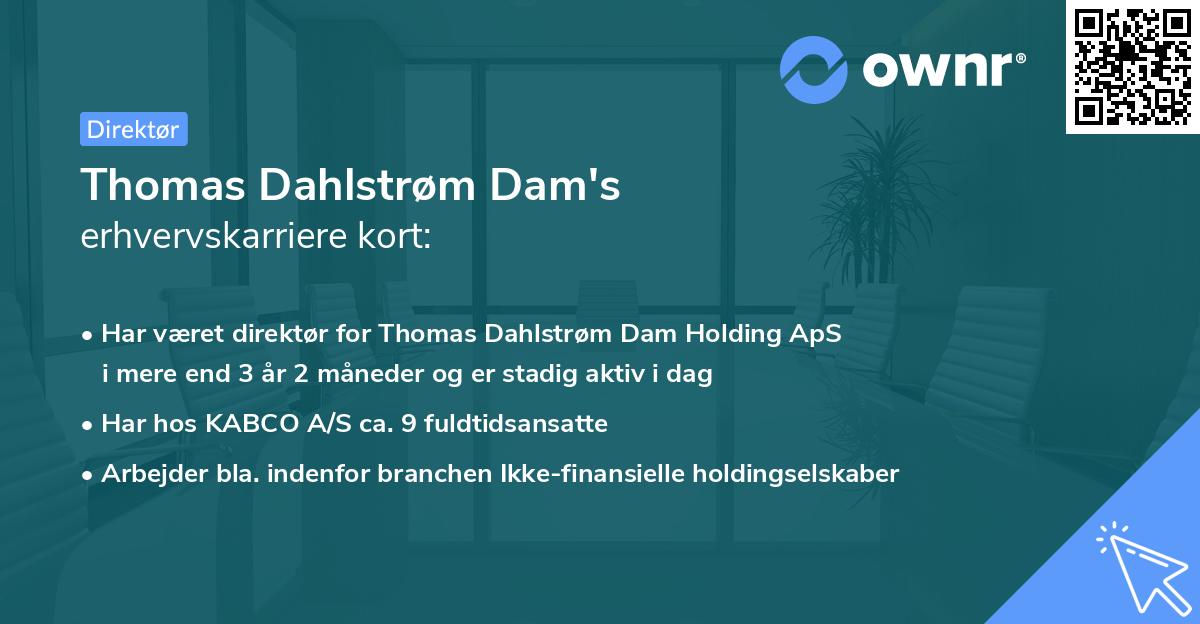 Thomas Dahlstrøm Dam's erhvervskarriere kort