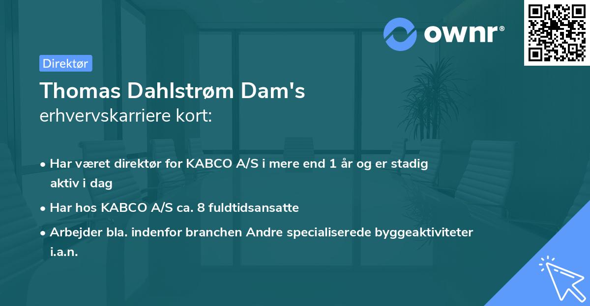 Thomas Dahlstrøm Dam's erhvervskarriere kort