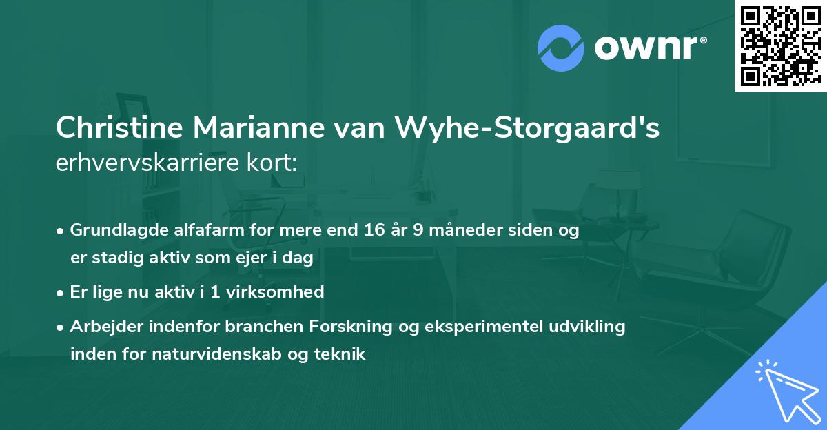 Christine Marianne van Wyhe-Storgaard's erhvervskarriere kort