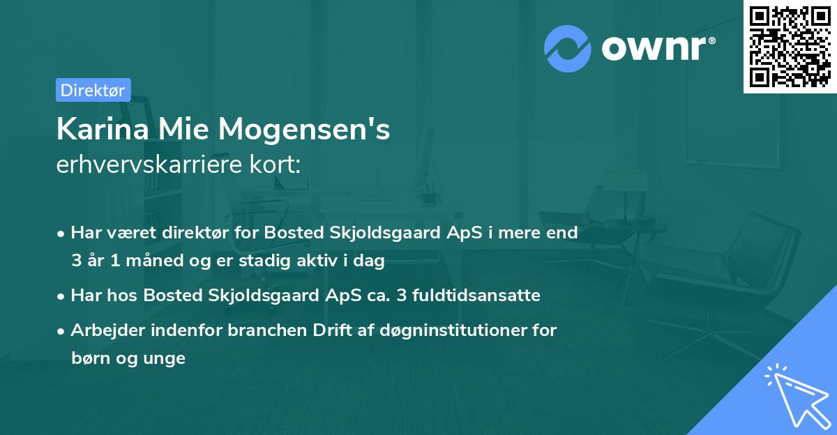 Karina Mie Mogensen's erhvervskarriere kort