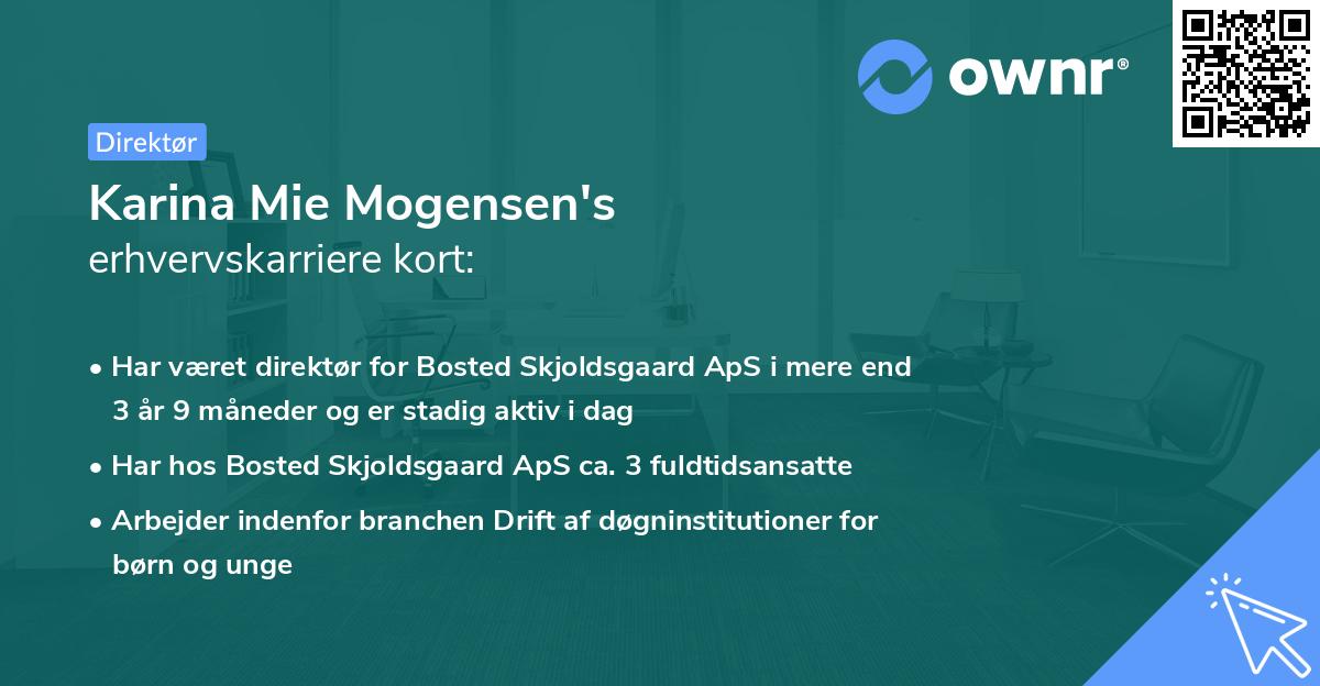Karina Mie Mogensen's erhvervskarriere kort