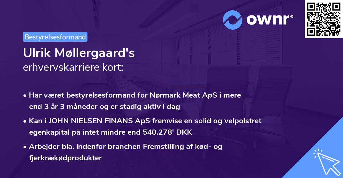 Ulrik Møllergaard's erhvervskarriere kort