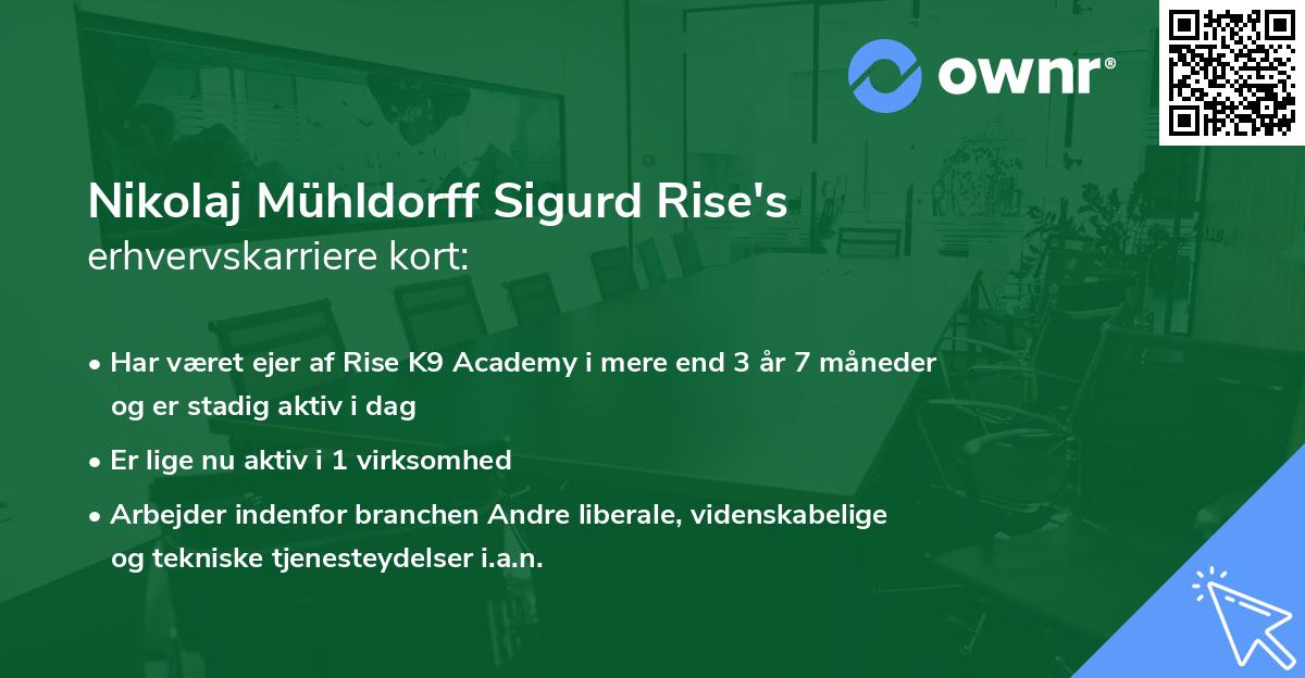 Nikolaj Mühldorff Sigurd Rise's erhvervskarriere kort