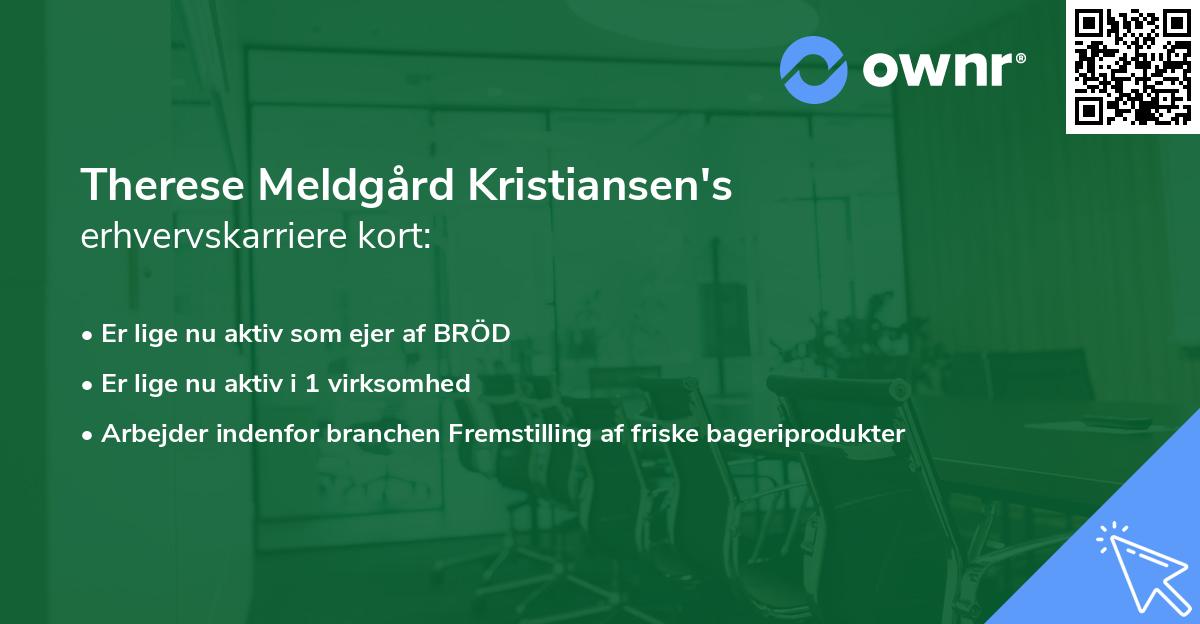Therese Meldgård Kristiansen's erhvervskarriere kort
