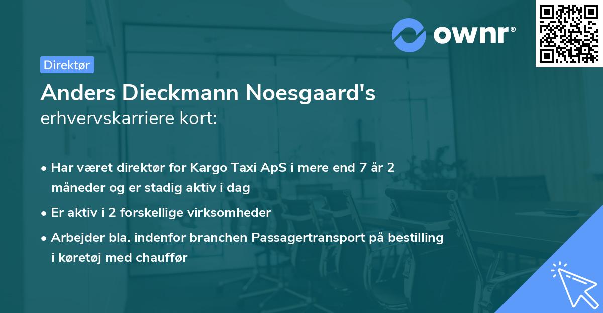 Anders Dieckmann Noesgaard's erhvervskarriere kort