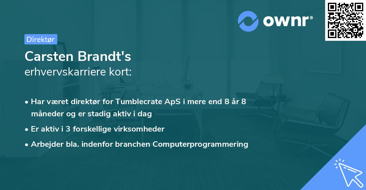 Carsten Brandt's erhvervskarriere kort