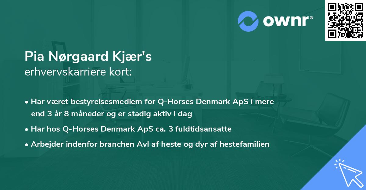 Pia Nørgaard Kjær's erhvervskarriere kort