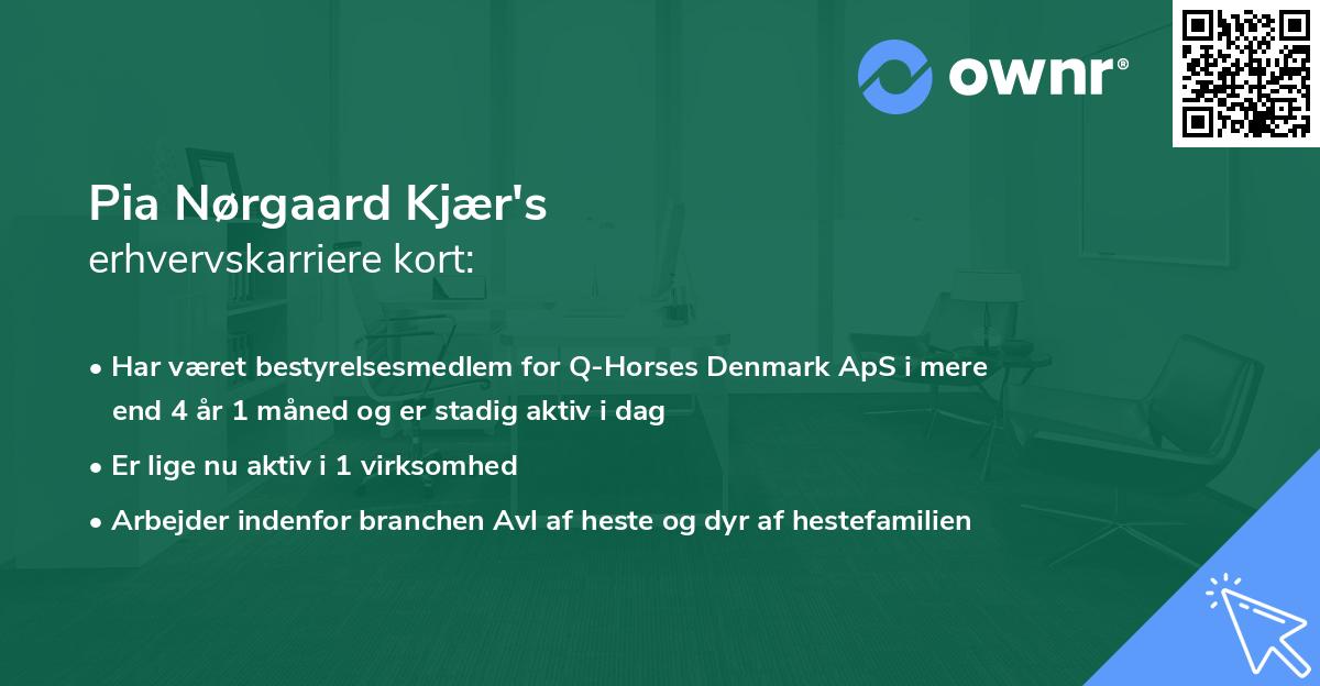 Pia Nørgaard Kjær's erhvervskarriere kort