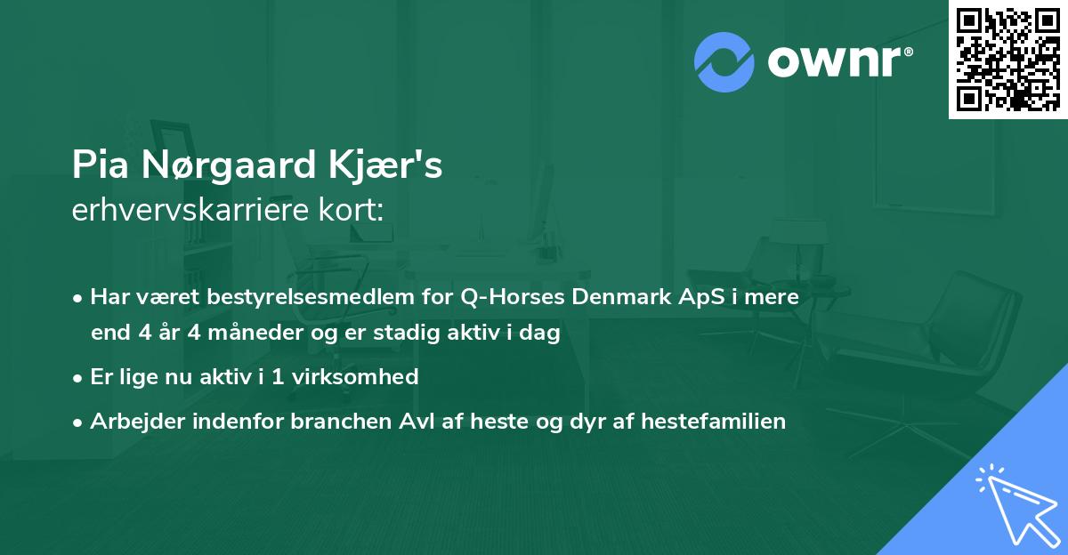 Pia Nørgaard Kjær's erhvervskarriere kort