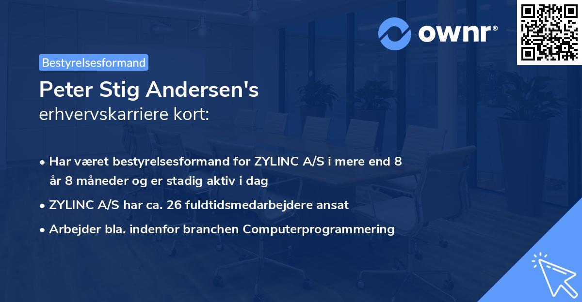 Peter Stig Andersen's erhvervskarriere kort