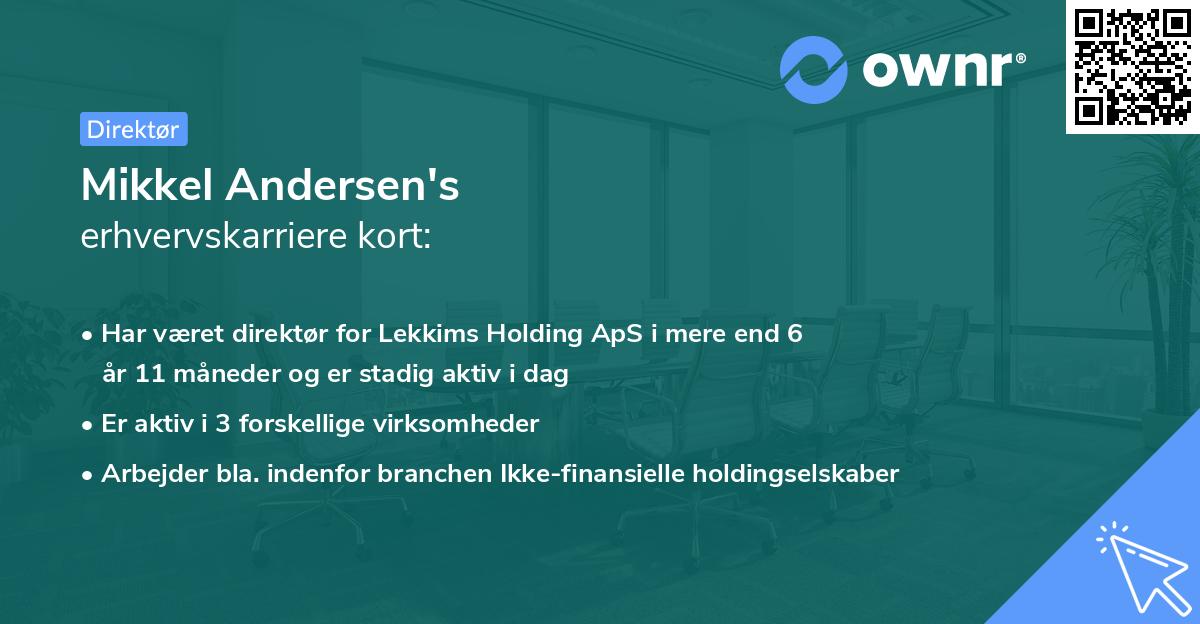 Mikkel Andersen's erhvervskarriere kort