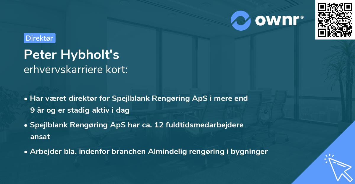 Peter Hybholt's erhvervskarriere kort