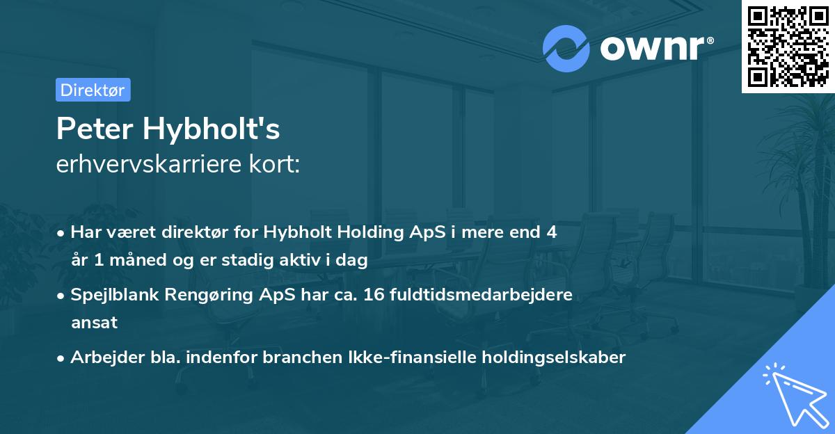 Peter Hybholt's erhvervskarriere kort