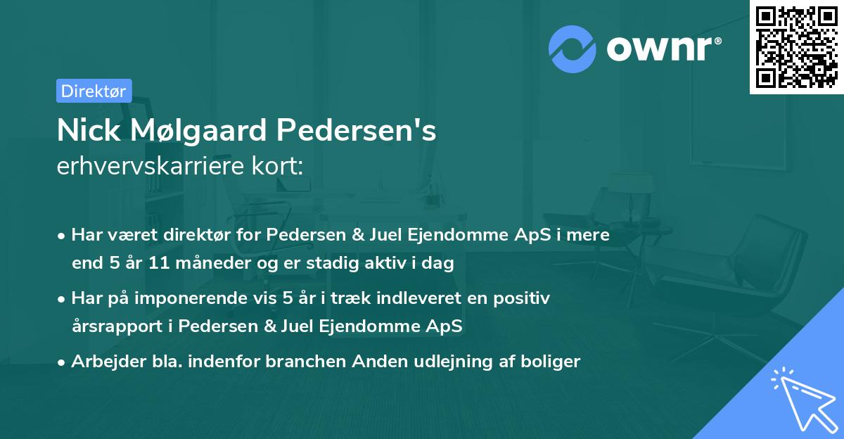 Nick Mølgaard Pedersen's erhvervskarriere kort