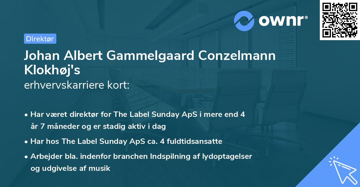 Johan Albert Gammelgaard Conzelmann Klokhøj's erhvervskarriere kort