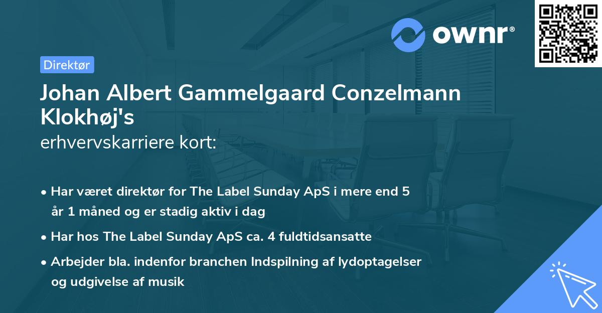Johan Albert Gammelgaard Conzelmann Klokhøj's erhvervskarriere kort