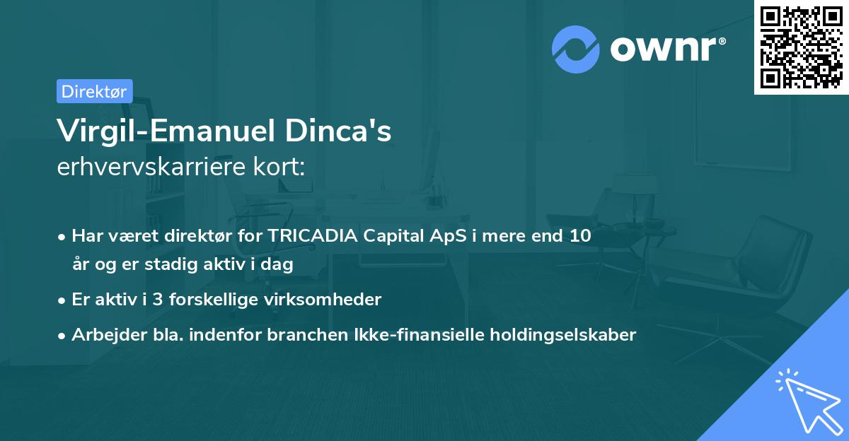 Virgil-Emanuel Dinca's erhvervskarriere kort