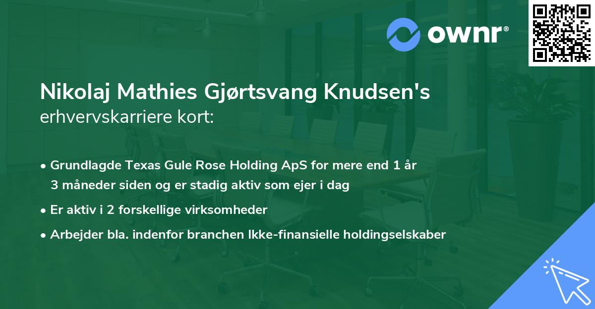 Nikolaj Mathies Gjørtsvang Knudsen's erhvervskarriere kort