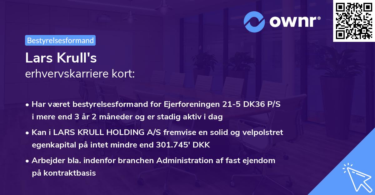 Lars Krull's erhvervskarriere kort