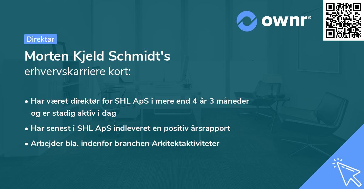 Morten Kjeld Schmidt's erhvervskarriere kort