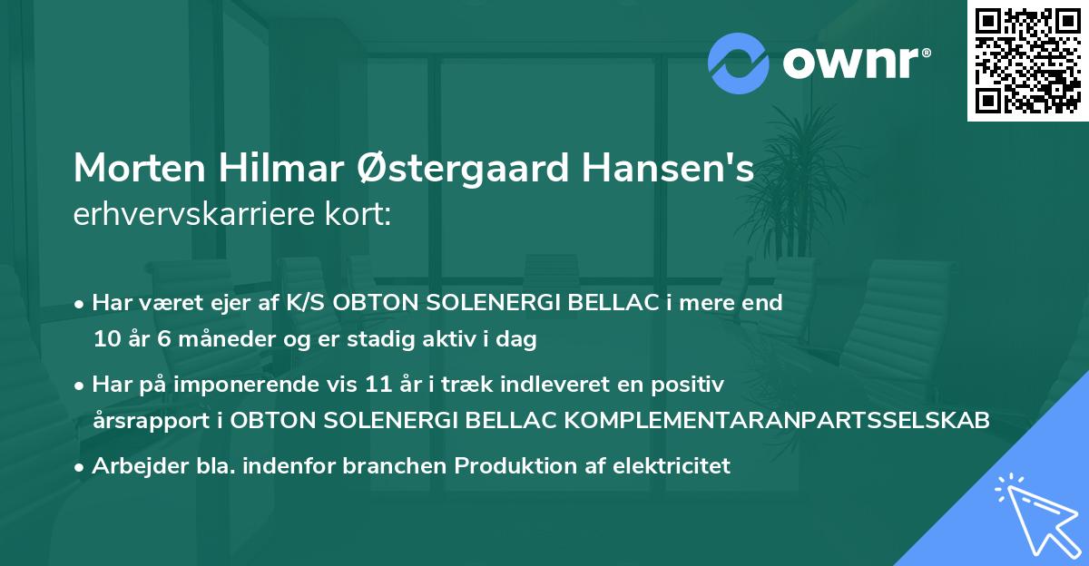 Morten Hilmar Østergaard Hansen's erhvervskarriere kort