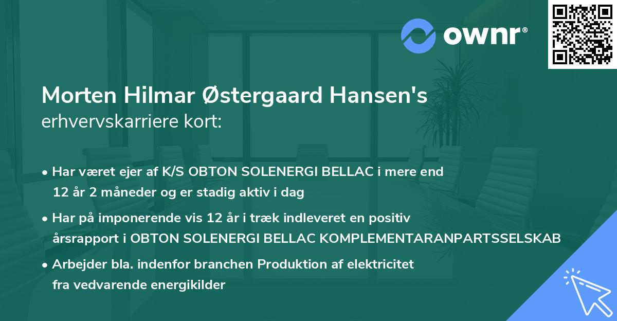 Morten Hilmar Østergaard Hansen's erhvervskarriere kort