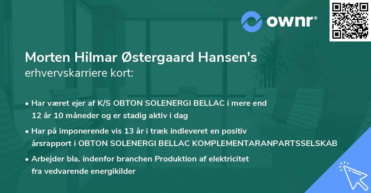 Morten Hilmar Østergaard Hansen's erhvervskarriere kort
