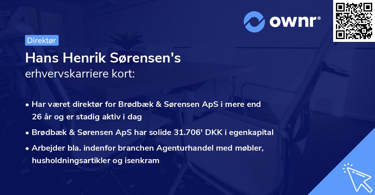 Hans Henrik Sørensen's erhvervskarriere kort