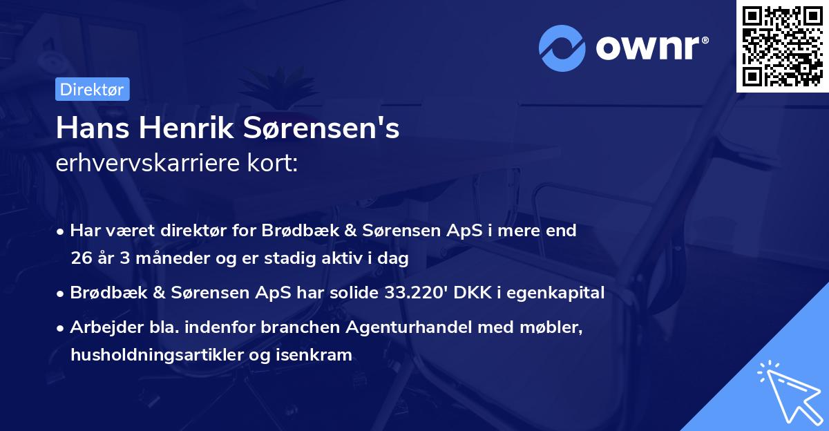 Hans Henrik Sørensen's erhvervskarriere kort