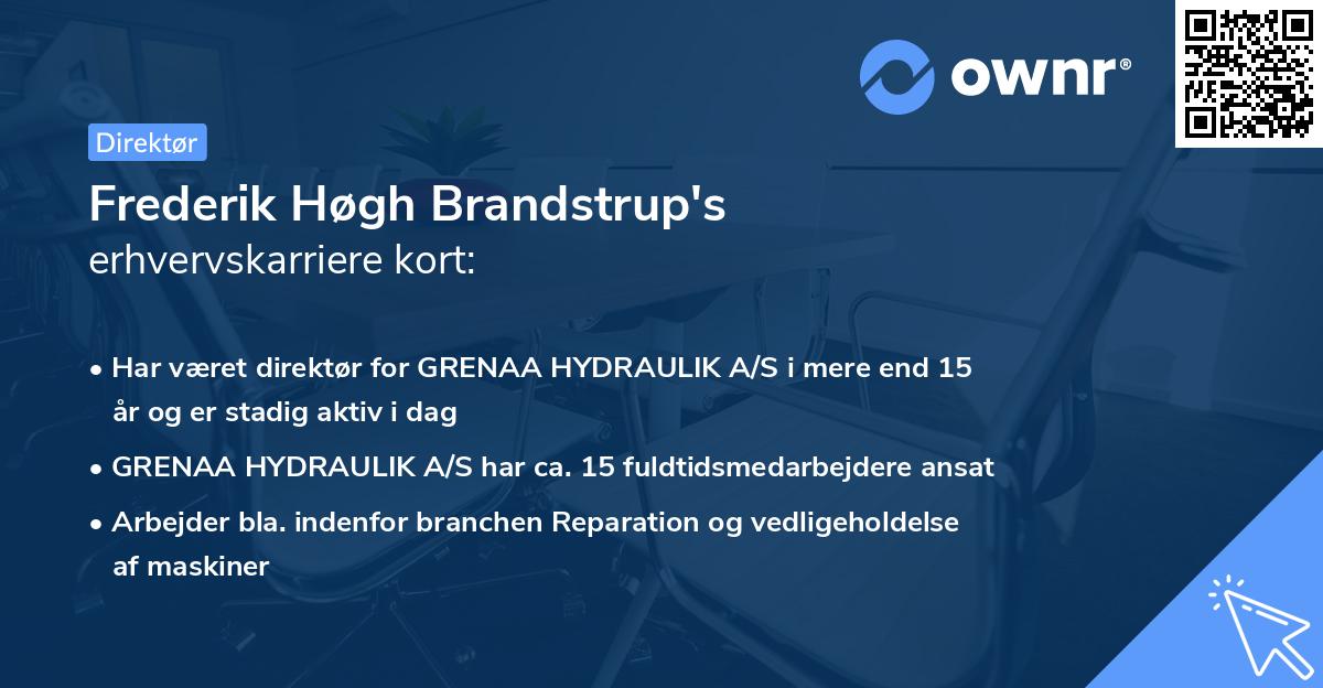 Frederik Høgh Brandstrup's erhvervskarriere kort