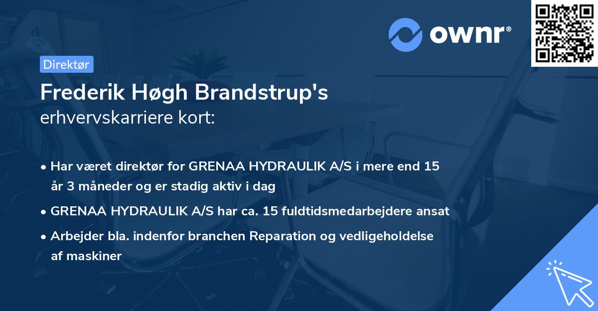 Frederik Høgh Brandstrup's erhvervskarriere kort