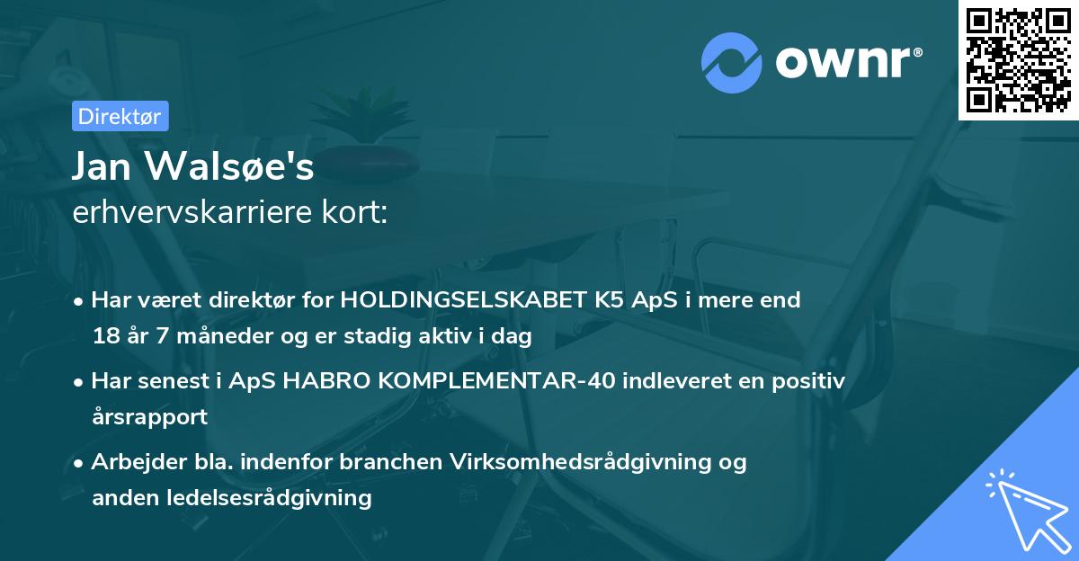 Jan Walsøe's erhvervskarriere kort