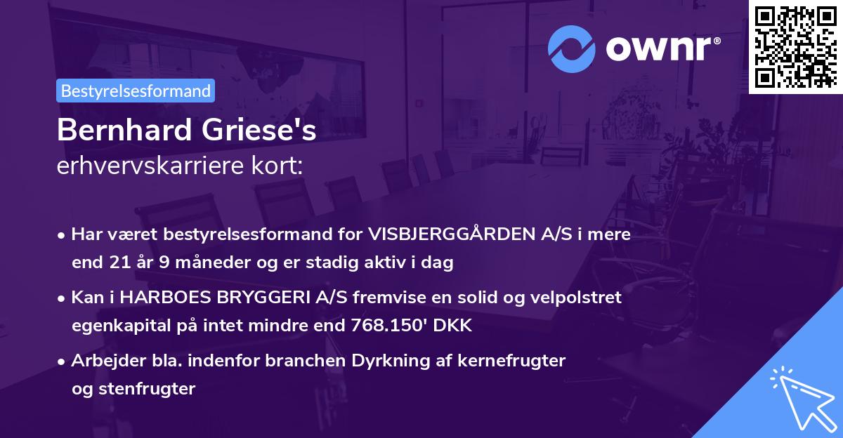 Bernhard Griese's erhvervskarriere kort